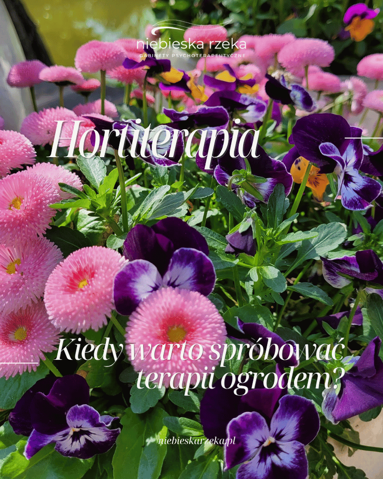 Hortiterapia – co to takiego i dlaczego warto spróbować terapii ogrodem?