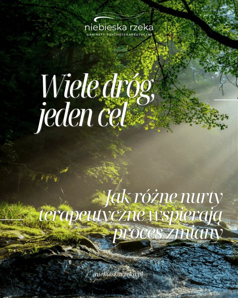 Wiele dróg, jeden cel: jak różne nurty terapeutyczne wspierają proces zmiany